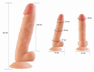������������� Real Standard �� ��������, 14,5 ��.