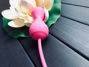�������� ������ Magic Kegel Master  2