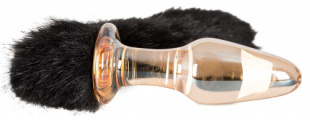 ������ ���������� � ��������� Glass-Plug